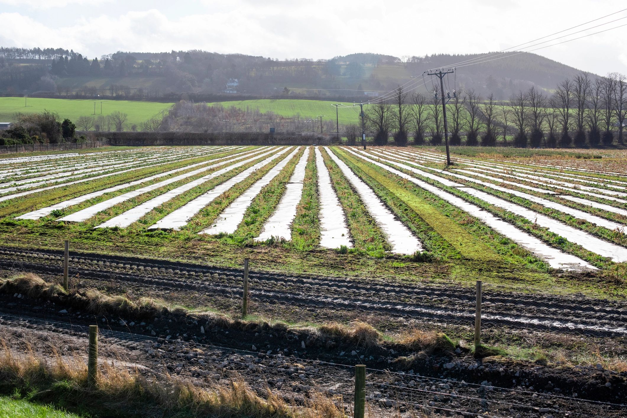 Campo agrícola que representa productividad y soluciones para el sector